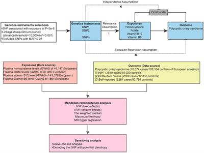 Non-causal relationship of polycystic ovarian syndrome with homocysteine and B vitamins: evidence from a two-sample Mendelian randomization